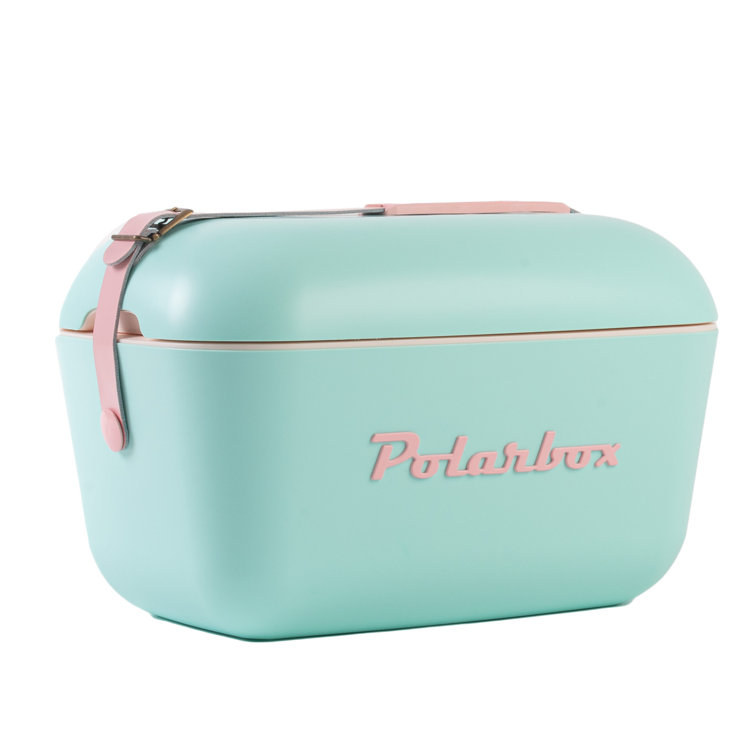 Cute hot sale ice chest